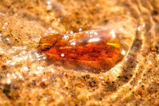 Amber in the surf on the Baltic Sea beach.