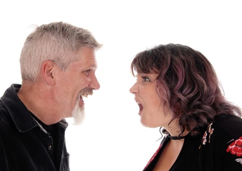 A closeup image of a couple shouting at each other with there mouths.open, isolated for white background.
