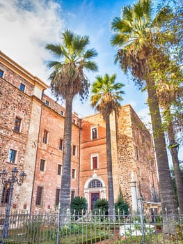 ancient palm garden. Garden of See of Oristano - Sardinia - Italy
