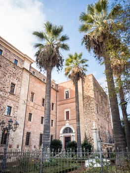 ancient palm garden. Garden of See of Oristano - Sardinia - Italy