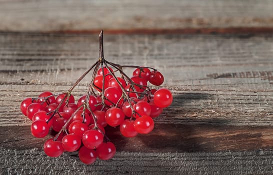 The branch of the viburnum hangs on the edge of the table. One juicy branch of viburnum lies on the edge of the old rustic table.