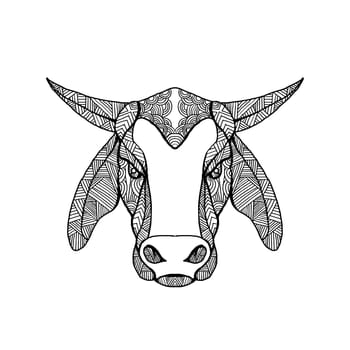 Mandala style illustration of a brahma or Brahman  bull head viewed from front on isolated background.