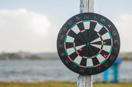 darts at the nature background