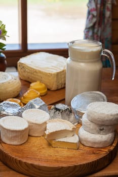 Set of different cheese: camembert, croton, mozzarella, smoked mozzarella and other