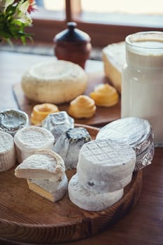 Set of different cheese: camembert, croton, mozzarella, smoked mozzarella and other