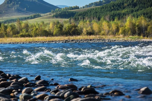 Fast mountain river Charish with the purest water in Altay mountains, Siberia, Russia