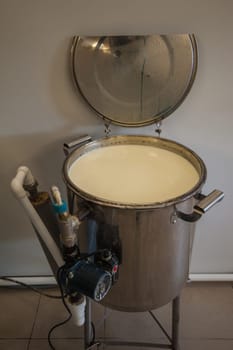 Cheese production at dairy farm, first stage - milk processing