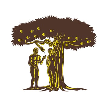 Retro woodcut style illustration depicting the fall of man showing Adam with Eve in garden of Eden picking the apple fruit from the tree after being tempted by the evil serpent snake.