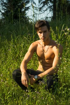 Nostalgic shirtless young man in a park as he kneels in green grass, looking at camera