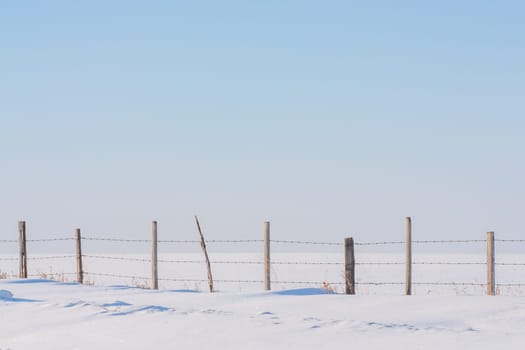 A landscape of a fence line in untouched fresh snow with a soft blue sky.