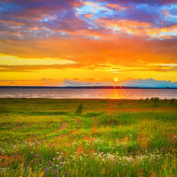 Sunset over the river Kama. Flowers meadow on the foreground