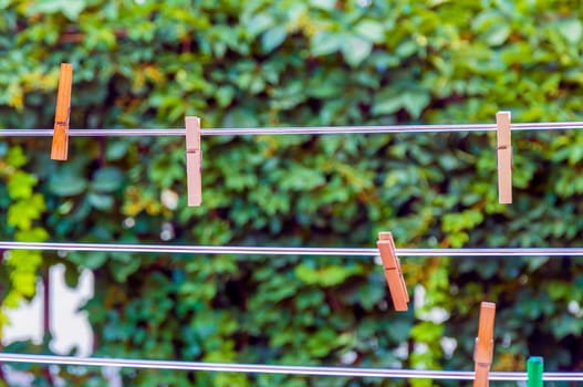 clothespins on a plastic rope with blurred background