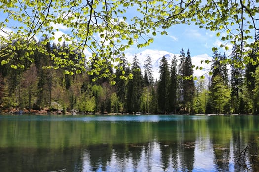 Lake Passy and Mont Blanc mountain massif summer view, Chamonix, France
