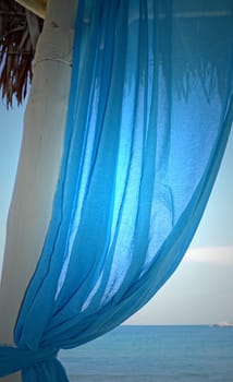 the blue curtain