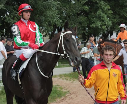 The jockey and arab stallion.Hippodrome in city Pyatigorsk,Caucasus,Russia.