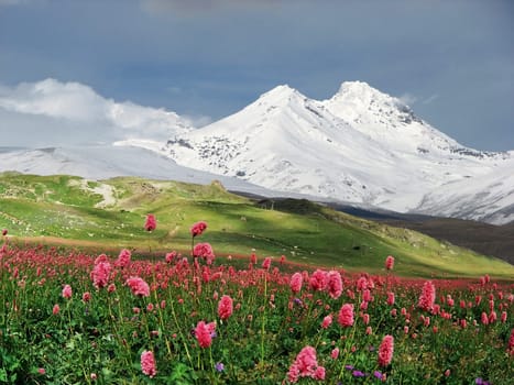 Mountains of the Caucasus in summer day,Armenia.