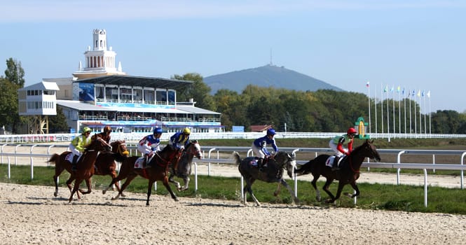 Hippodrome in city Pyatigorsk,Northern Caucasus,Russia.  5 October 2008 year.Horse race of the prize closing the race season.Horse arab breed.