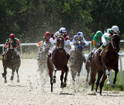 Horse race of the prize  Pyatigorsk.  Hippodrome in Pyatigorsk,Northern Caucasus,Russia.  22.08.2009.