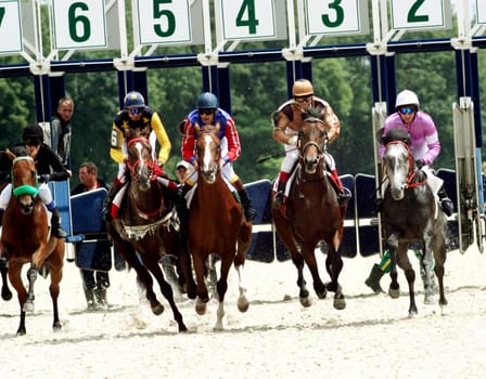 Horse racing in Pyatigorsk