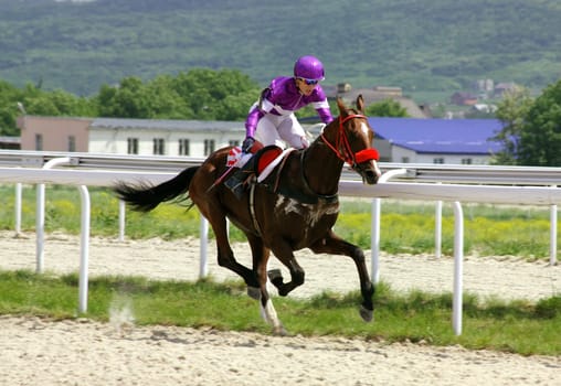 Action shot of jockeys in horse race.
