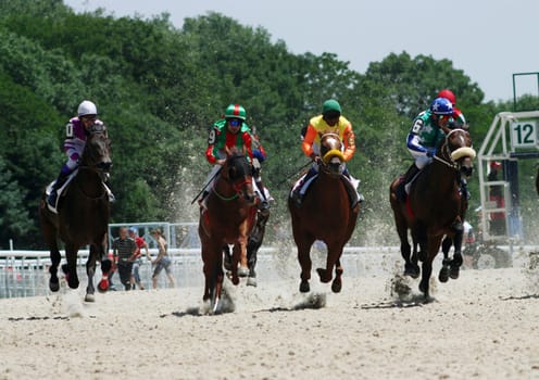 PYATIGORSK, RUSSIA - JULY 12: Start racing for the prize of Russian President July 12, 2009 in Pyatigorsk, Caucasus, Russia.