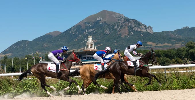 Start of the race for the prize of the Derby in Pyatigorsk.