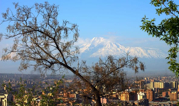 Yerevan city and Mount Ararat,Transcaucasia,Armenia.