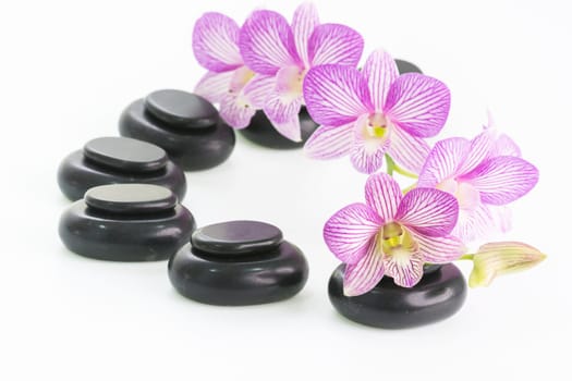 Spa concept with hot stones and orchid flowers