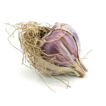 Garlic isolated,close-up of the garlic onion on a white background