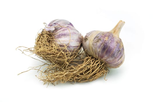 Garlic isolated,close-up of the garlic onion on a white background