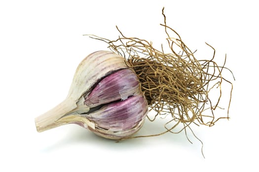 Garlic isolated,close-up of the garlic onion on a white background