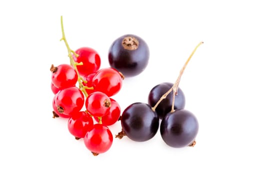 black and red currants isolated on white,bunch of fresh fruits