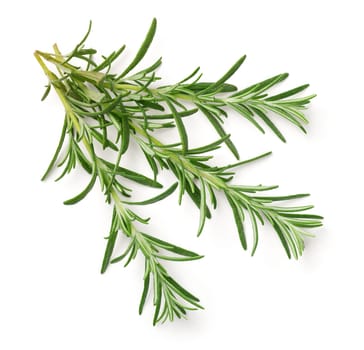 Rosemary isolated on white background. Top view