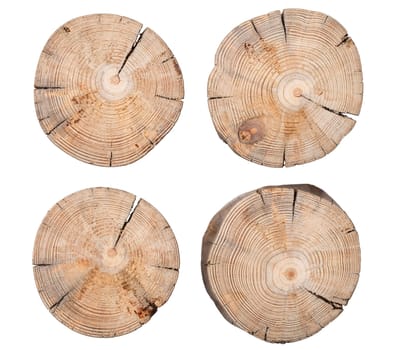 Wooden stump isolated on White background. Top view