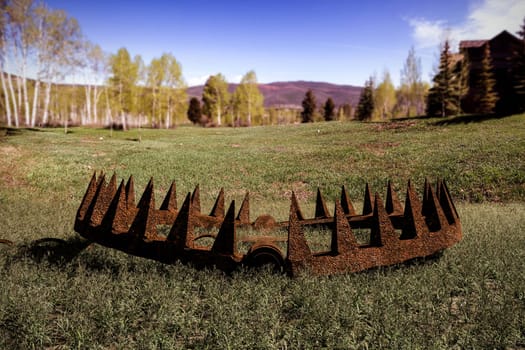 3d illustration of a bear trap on green grass
