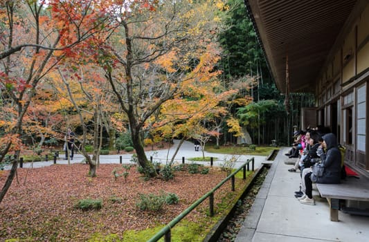 KYOTO, JAPAN -NOVEMBER 23, 2016: Asian tourists admiring the beautiful sight of autumn maple foliage garden at Enkoji temple in Kyoto, Japan