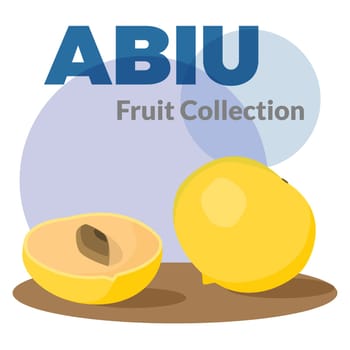 Pouteria caimito or the abiu golden fruit isolated on background. Yellow vector tropical sweet fruit.