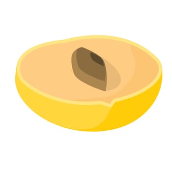 Pouteria caimito or the abiu golden fruit isolated on background. Yellow vector tropical sweet fruit.