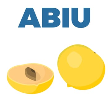 Pouteria caimito or the abiu golden fruit isolated on background. Yellow vector tropical sweet fruit.