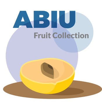 Pouteria caimito or the abiu (golden fruit) isolated on background. Yellow vector tropical sweet fruit.