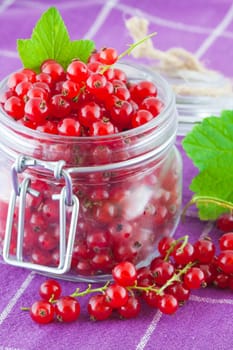 red currants in a glass jar on a kitchen table