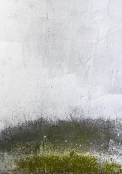 Dirty fungus or mold on the wall texture background