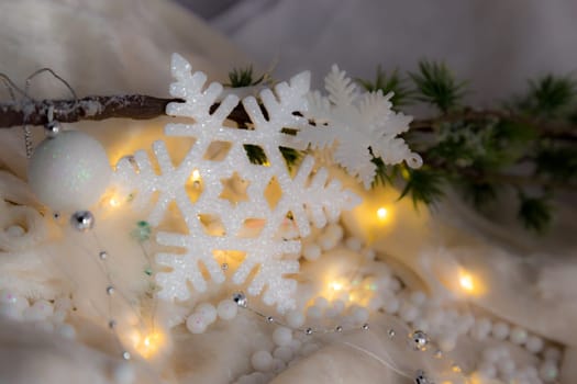 Schneestern