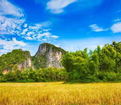 Rice field and mountains. Beautiful rural landscape. Luang Prabang. Laos.