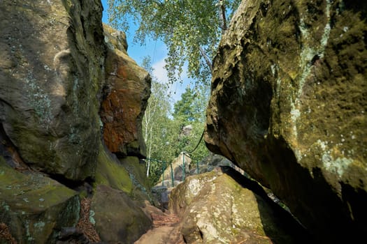 Hiking trail on the Devil's Wall between Timmenrode and Blankenburg in the Harz National Park
