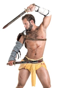 Ancient warrior or Gladiator isolated in a white background