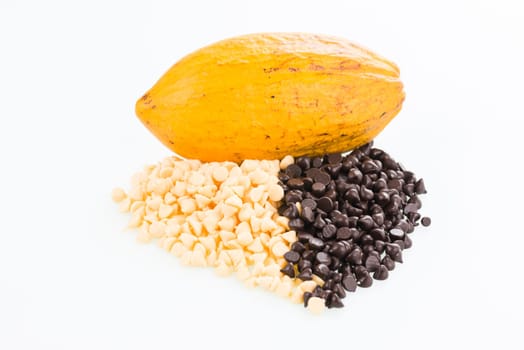 Fresh cocoa pod and chocolate chips