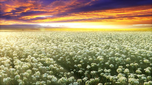 The Nice picture with a fresh flowers and cloud background