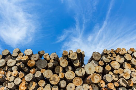 Stack of cut timber logs against clear blue sky. Closeup of wooden trunks.
