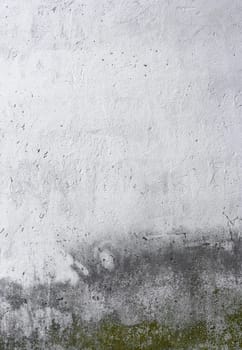 Dirty fungus or mold on the wall texture background